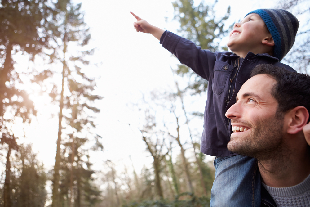 Dad and toddler son pointing in the woods