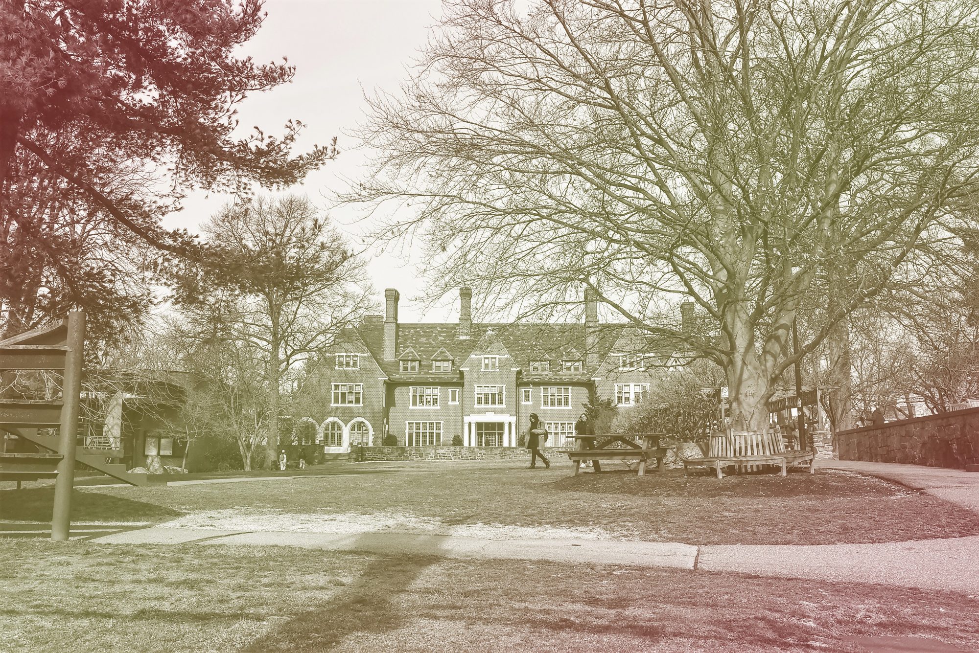 exterior view of a college surrounded by trees and grass