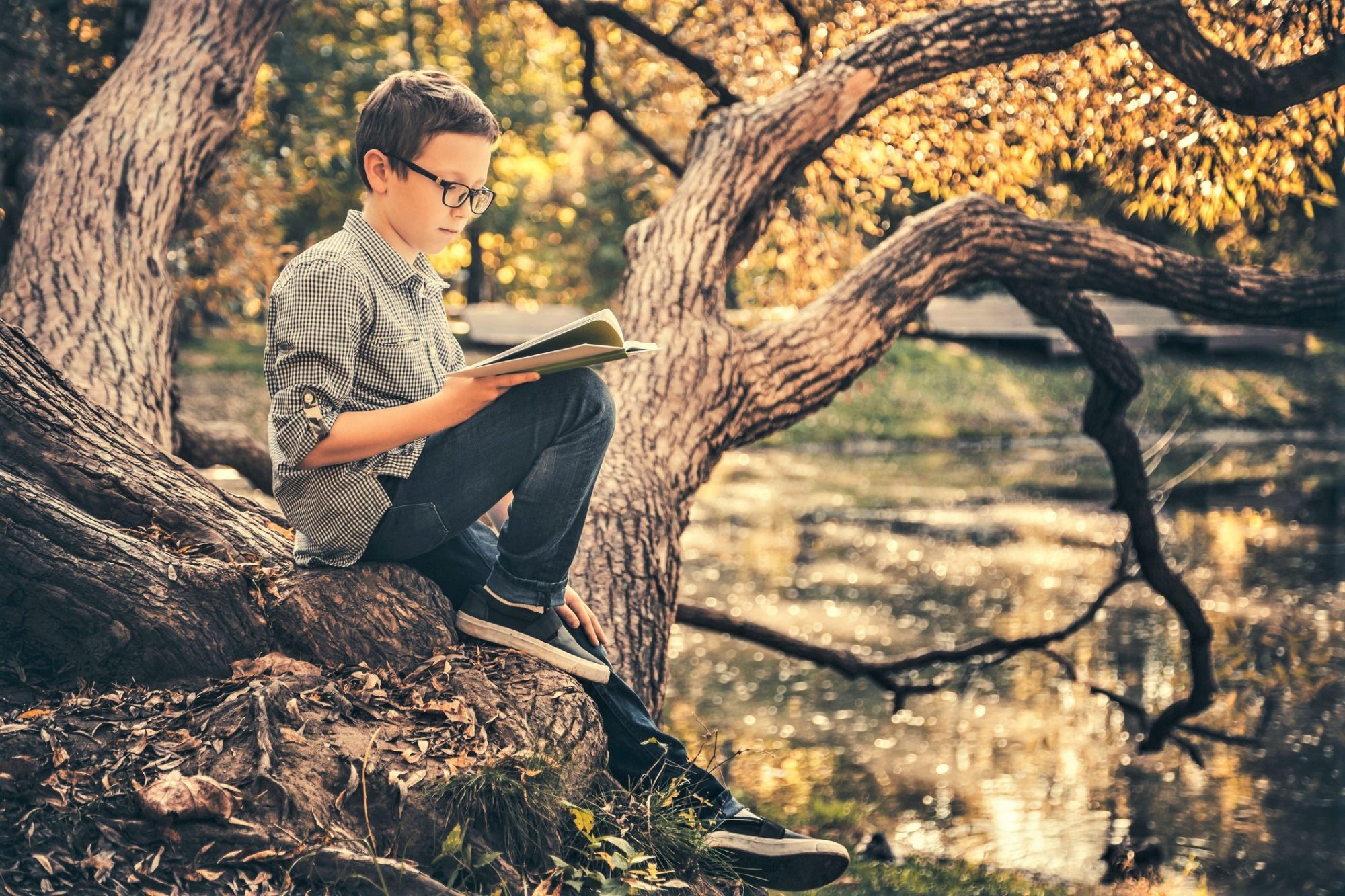 boy reading a book in the park