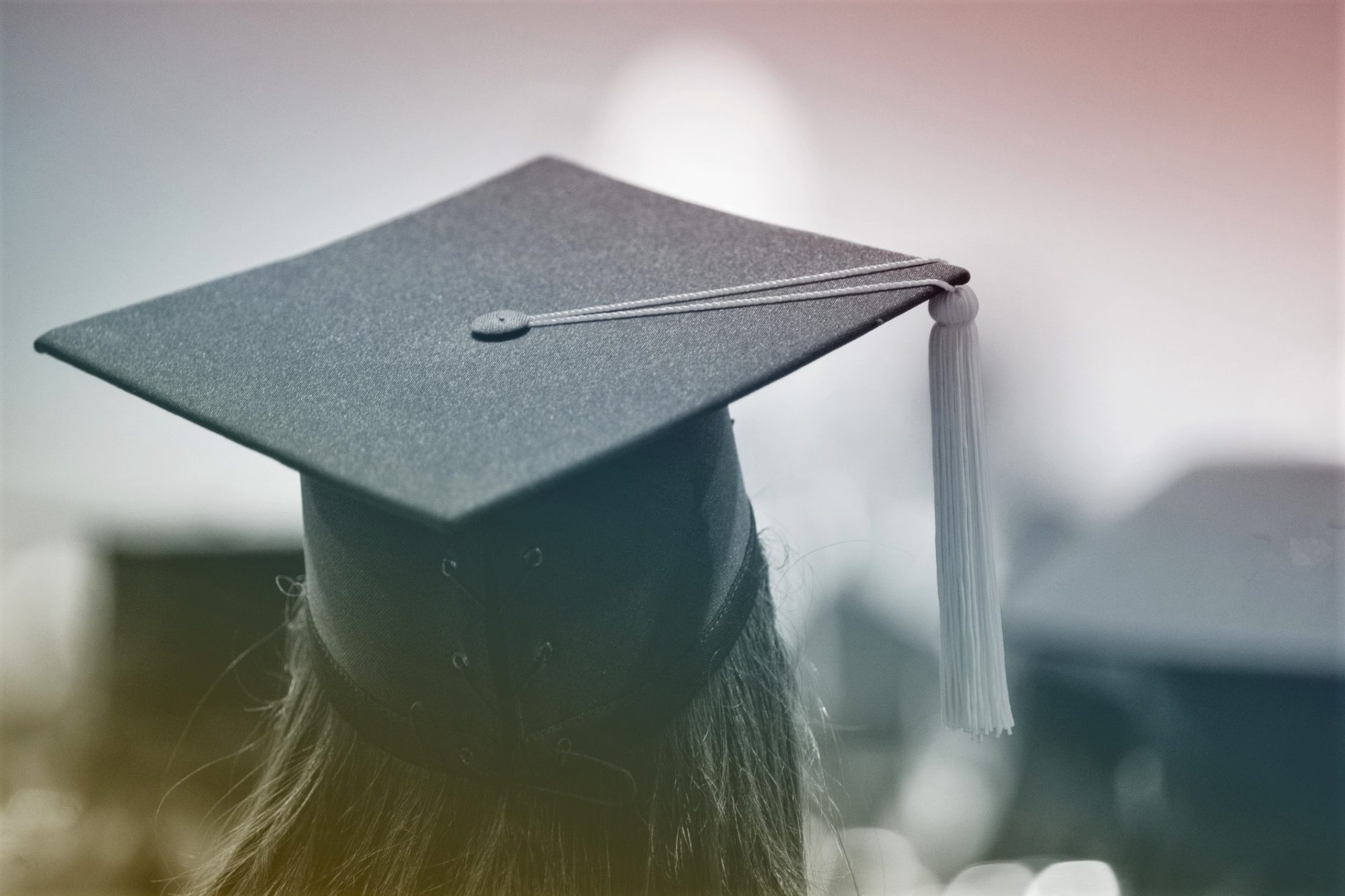 Rear View Of Woman Wearing Graduation Cap