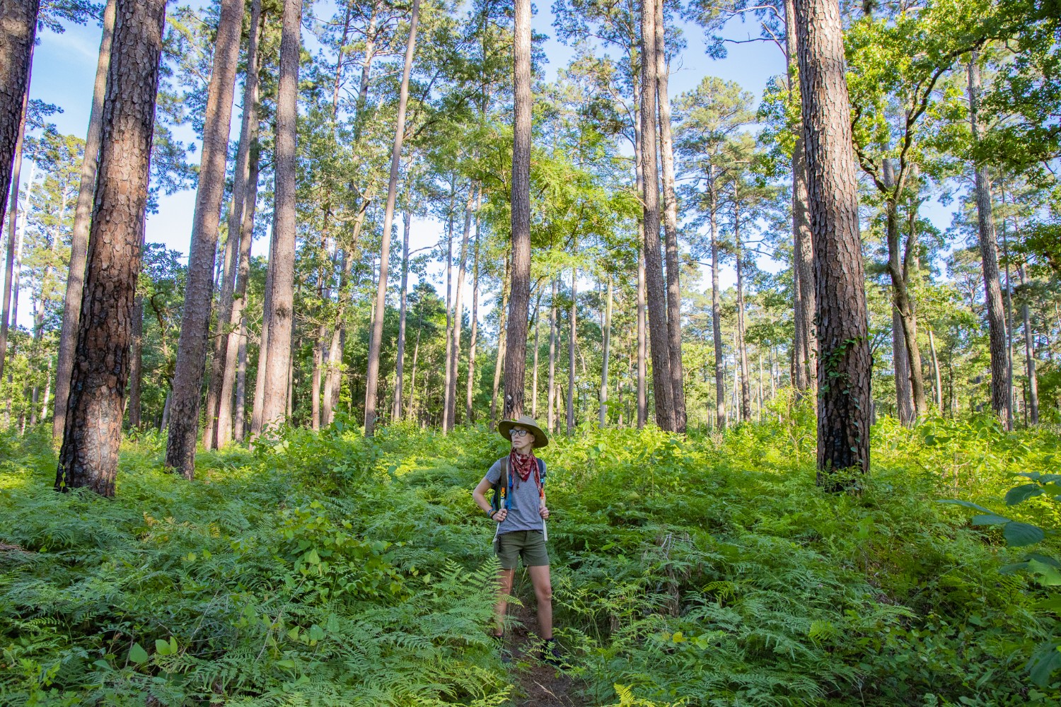 Hiking in Sam Houston National Forest surrounded by trees